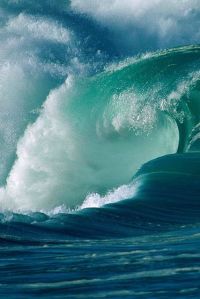 I Will Never Turn My Back on the Ocean...