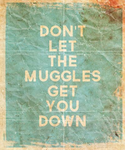 HP Muggles
